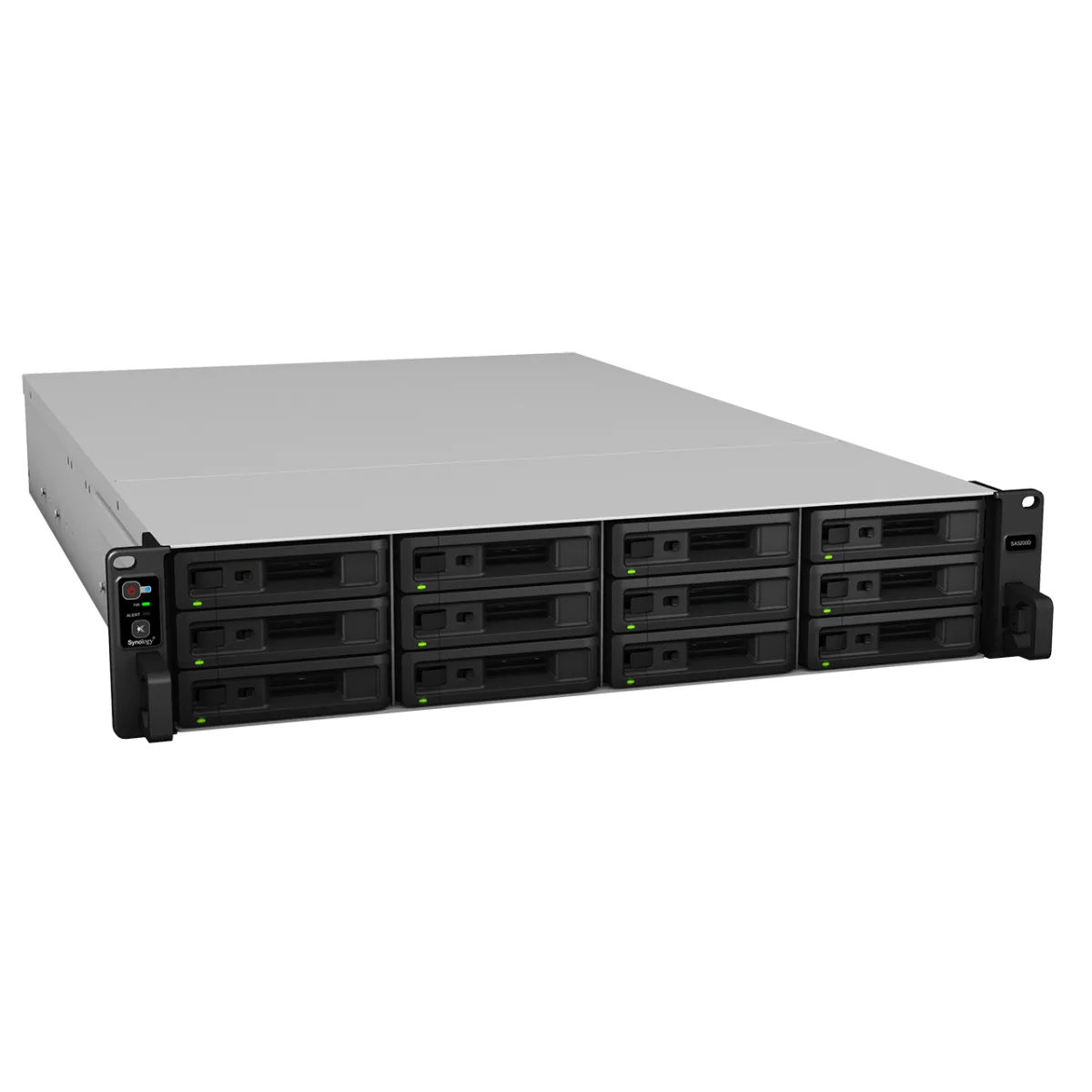Synology RackStation SA3200D