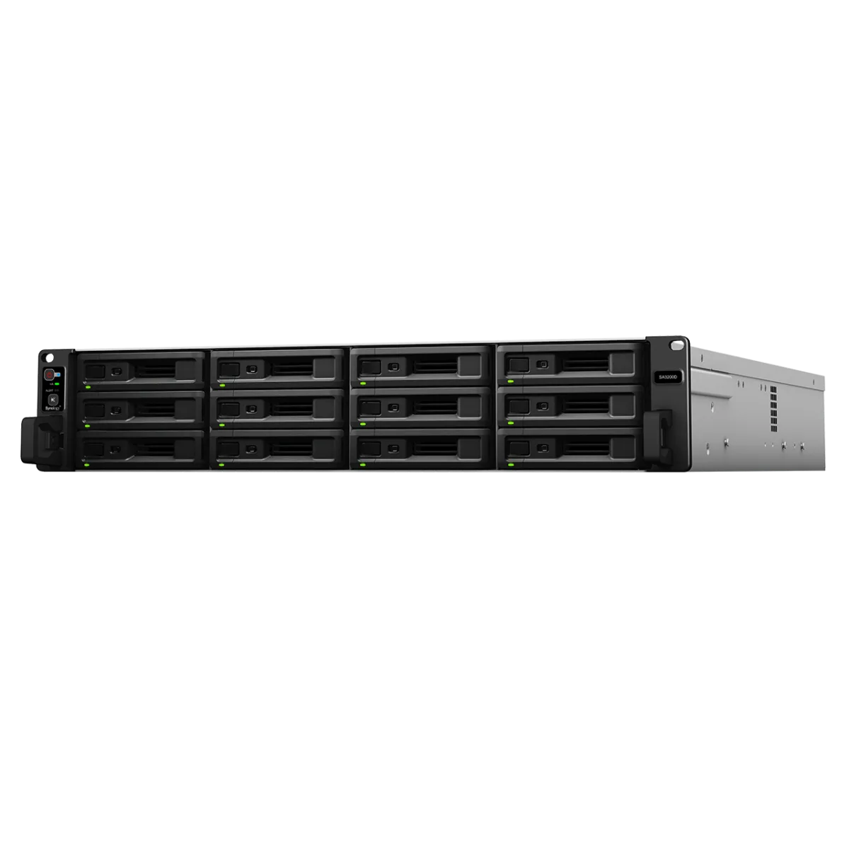 Synology RackStation SA3200D