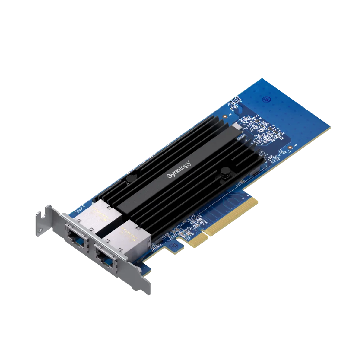 Synology E10G30-T2