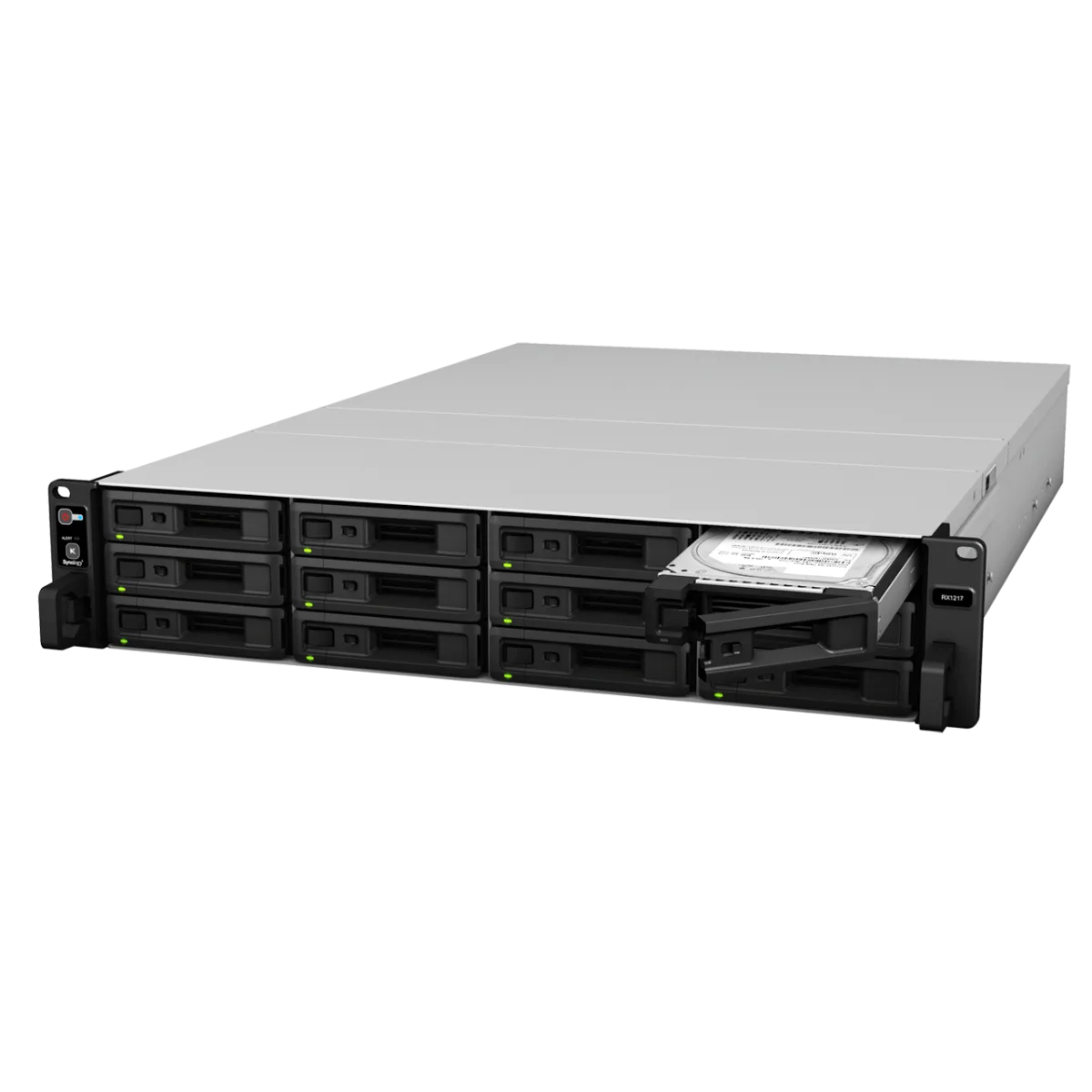 Synology RX1217RP