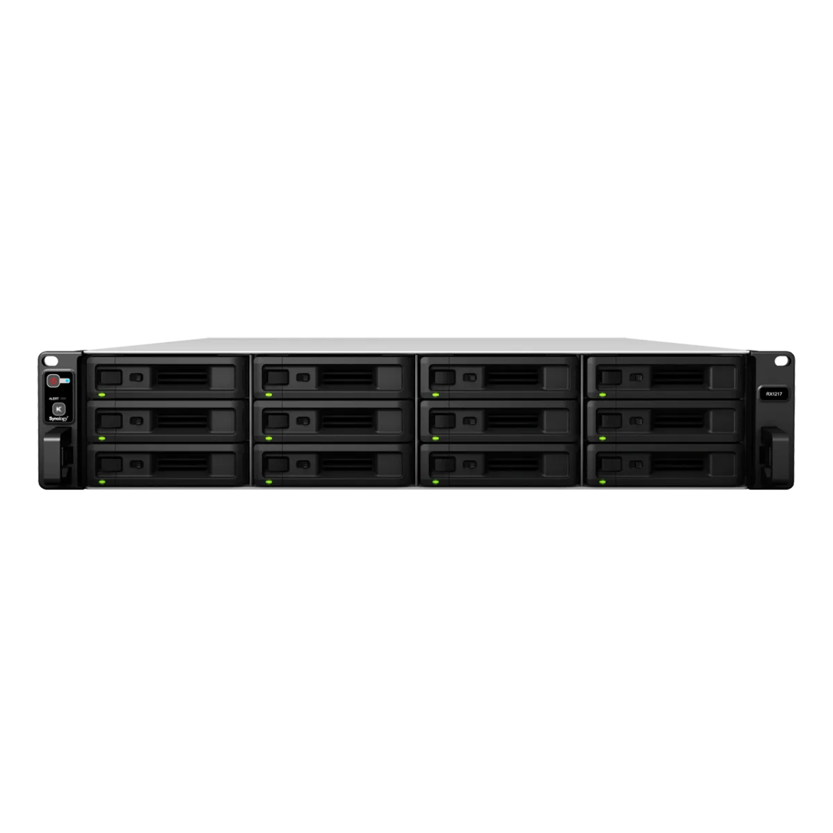 Synology RX1217RP