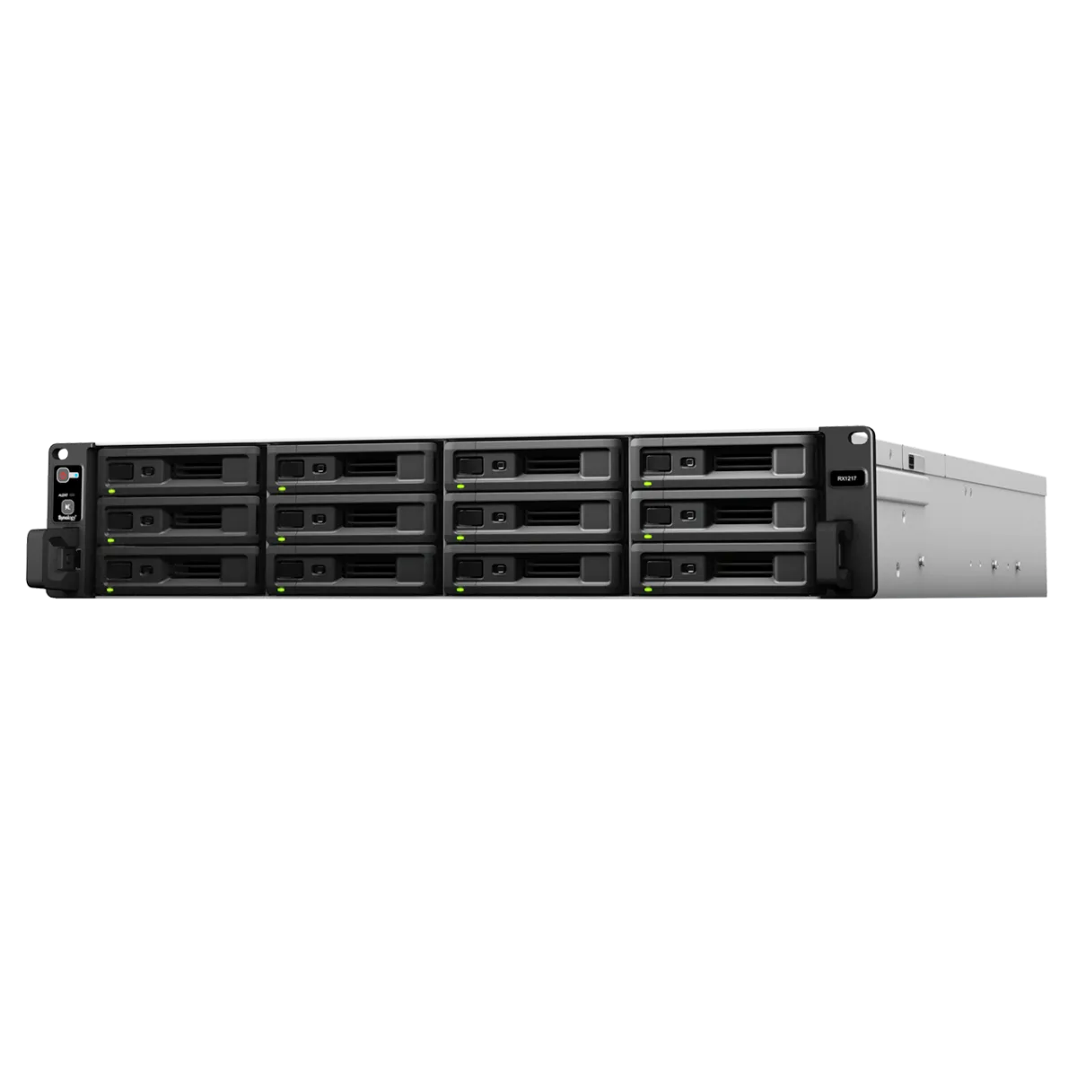 Synology RX1217