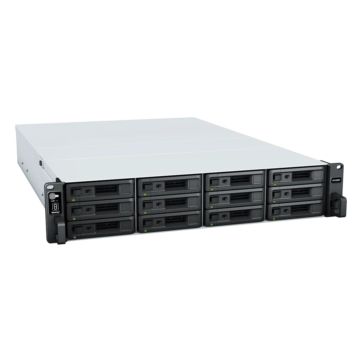 Synology RX1223RP