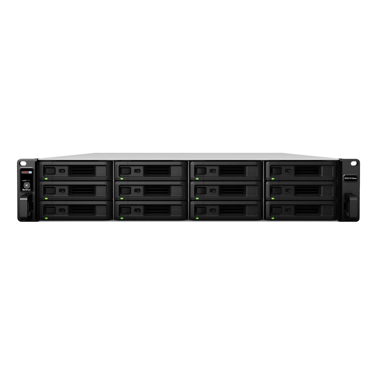 Synology RXD1219sas