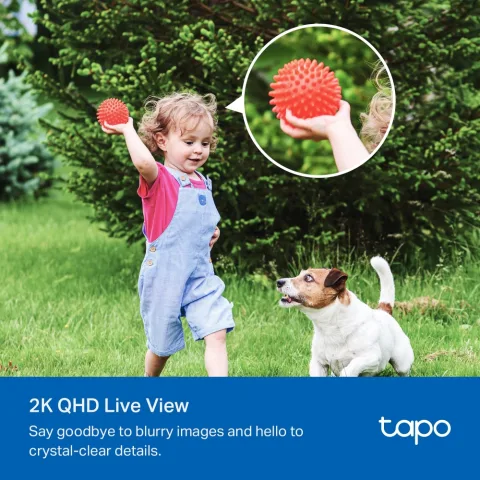 TP-Link Tapo C425 Kit