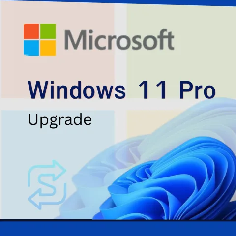 Windows 11 Pro Upgrade