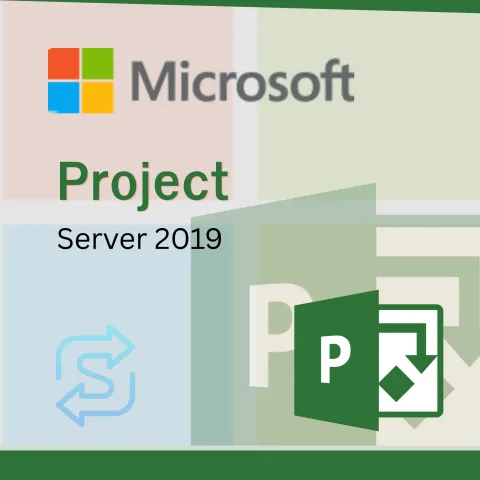 Project Server 2019
