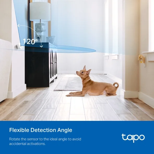 TP-Link Tapo T100
