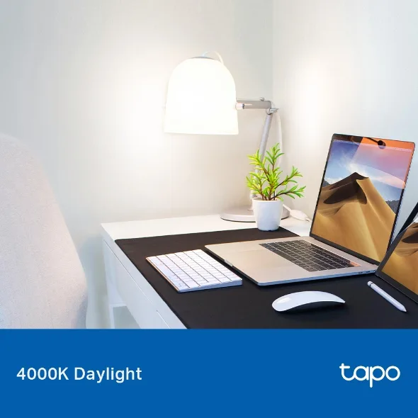 TP-Link Tapo L520E